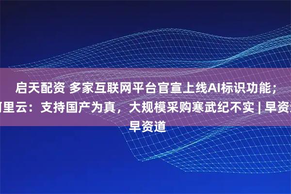 启天配资 多家互联网平台官宣上线AI标识功能；阿里云：支持国产为真，大规模采购寒武纪不实 | 早资道