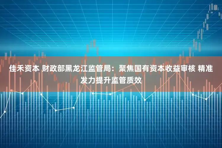 佳禾资本 财政部黑龙江监管局：聚焦国有资本收益审核 精准发力提升监管质效